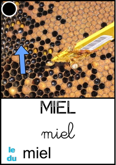 miel.jpg
