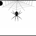 araignée - 2761