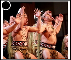 maoris - 3144