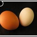 Oeufs - aliments - 738