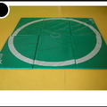 tapis cible - 1642